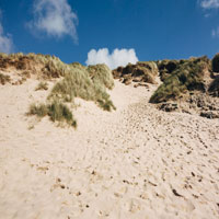 sandy dunes